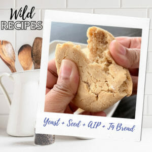 Wild Recipes by The Allergy Chef: Corn Free, Yeast Free, Seed Free, AIP Paleo, Top 9 Free Bread