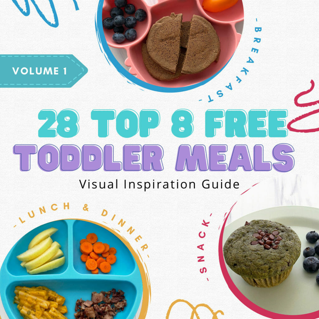 28 Top 8 Allergy Free Toddler Meals