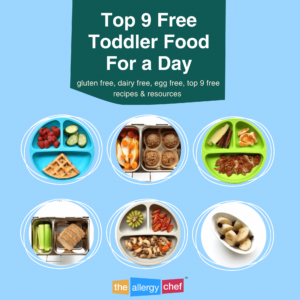 Gluten Free, Allergy Friendly Toddler Food For a Day