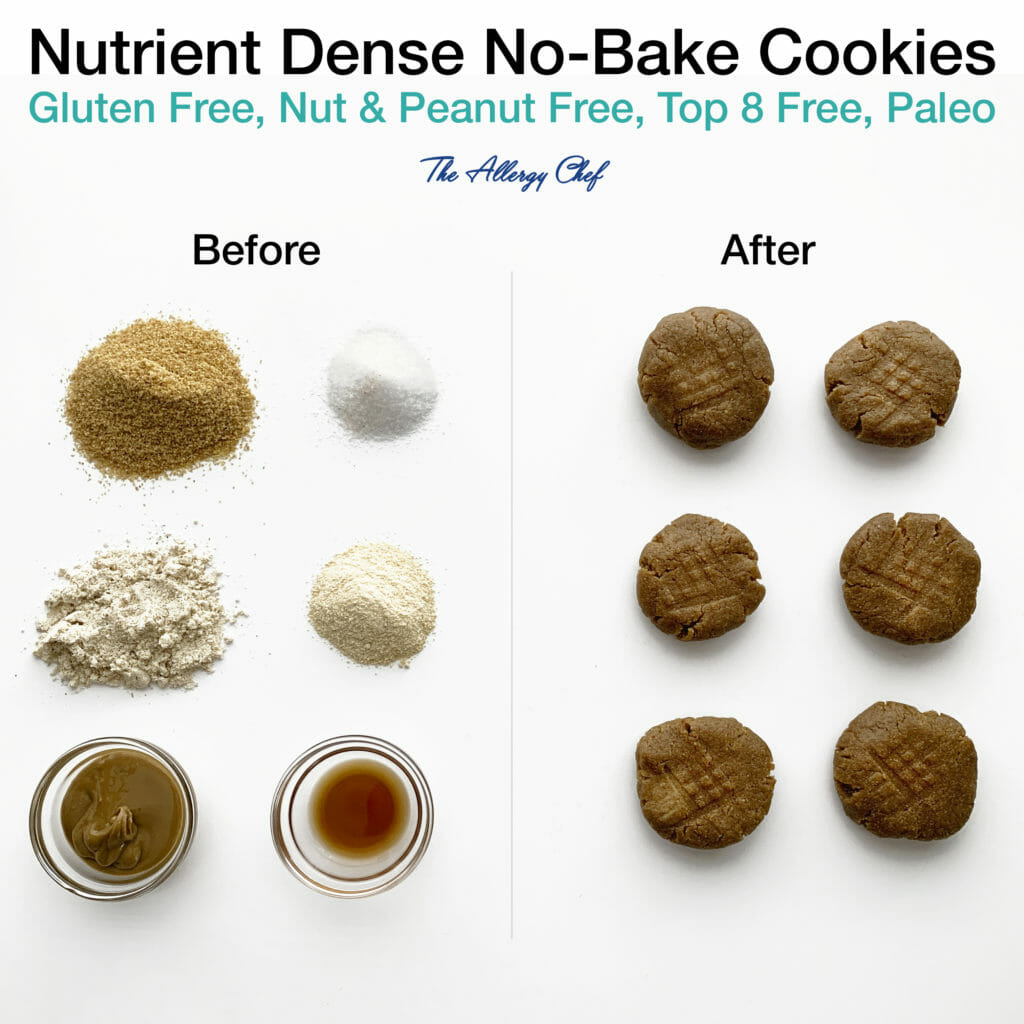 Gluten Free, Vegan, No Bake Cookies by The Allergy Chef (Top 9 Allergy Free)