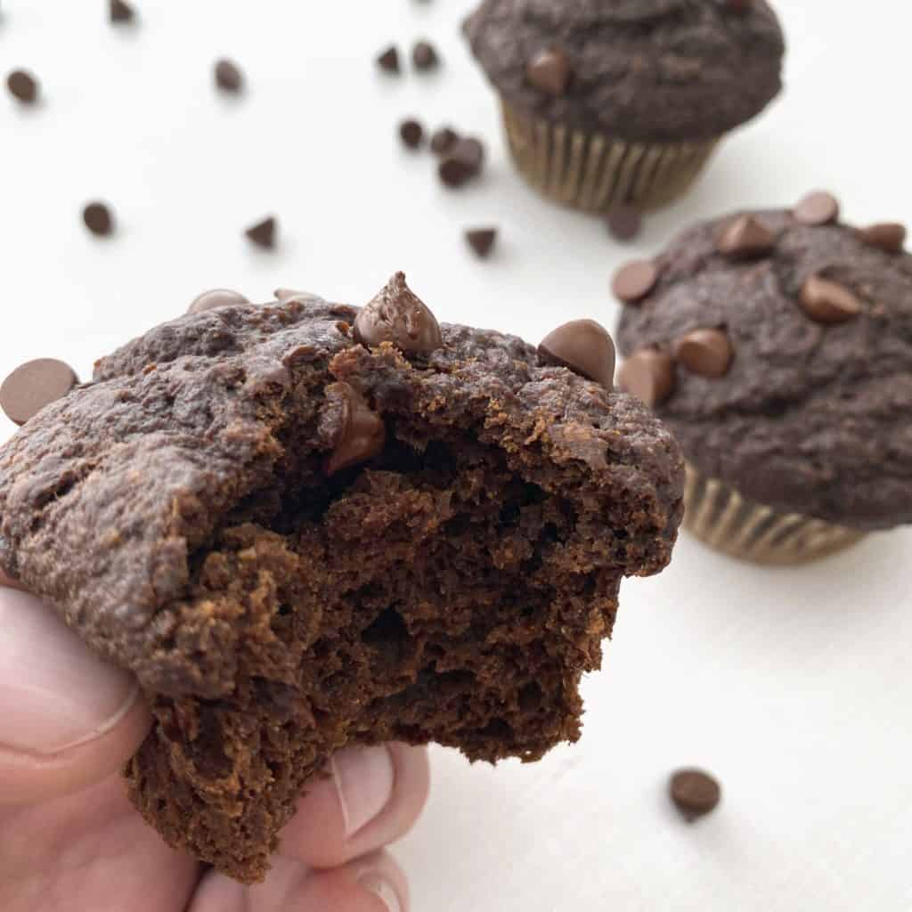 Gluten Free, Dairy Free, Egg Free, Vegan Double Chocolate Muffins by The Allergy Chef