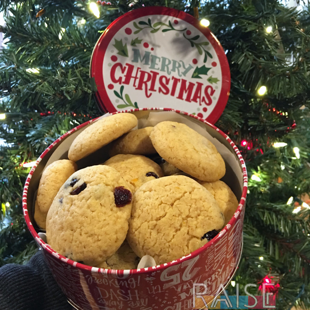 Cranberry Orange Christmas Cookies by The Allergy Chef (Gluten Free, Vegan, Dairy Free, Milk Free, Top 9 Allergy Free)