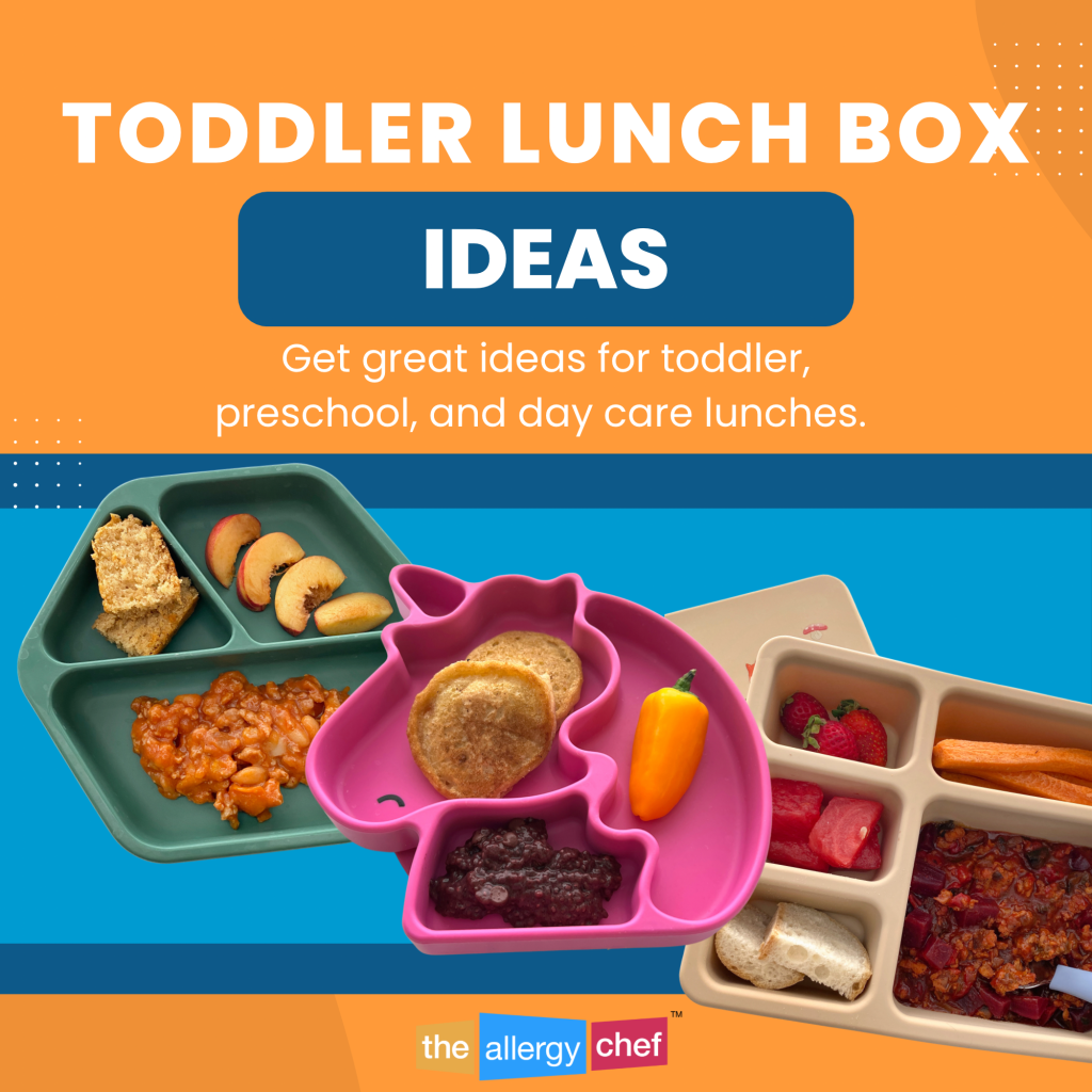 Easy Toddler Lunch Box Ideas for School Daycare The Allergy Chef