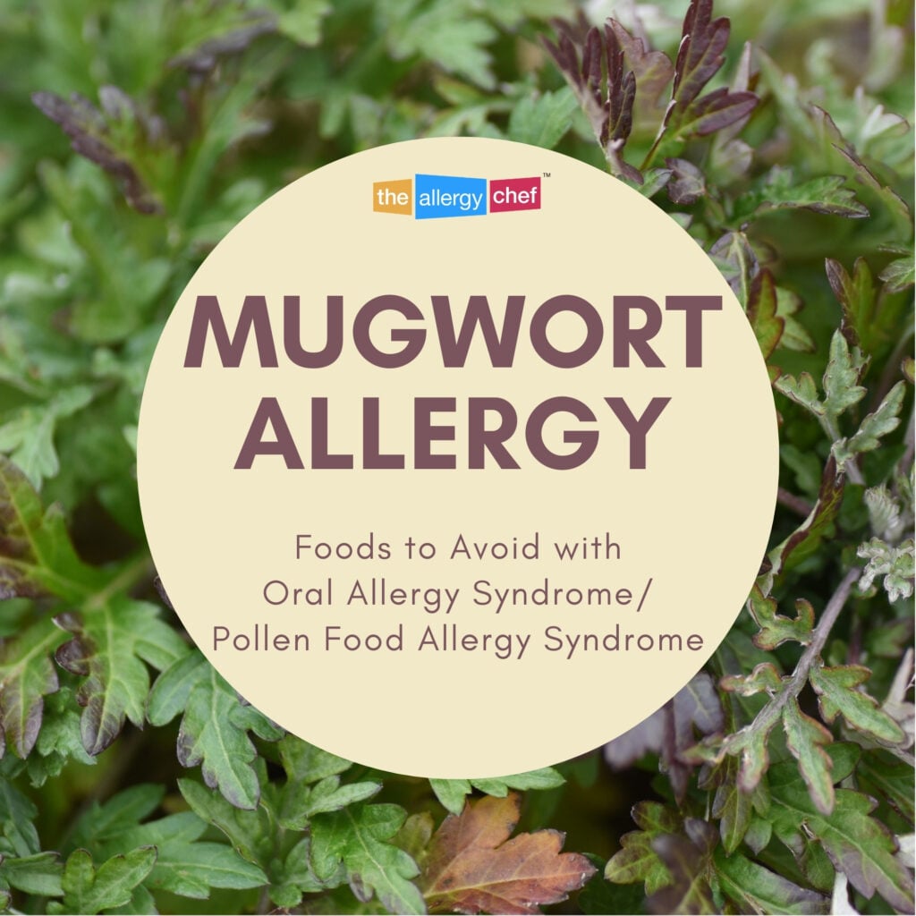 Mugwort Allergy Foods to Avoid Oral Allergy Syndrome Pollen Food Allergy Syndrome Info by The Allergy Chef