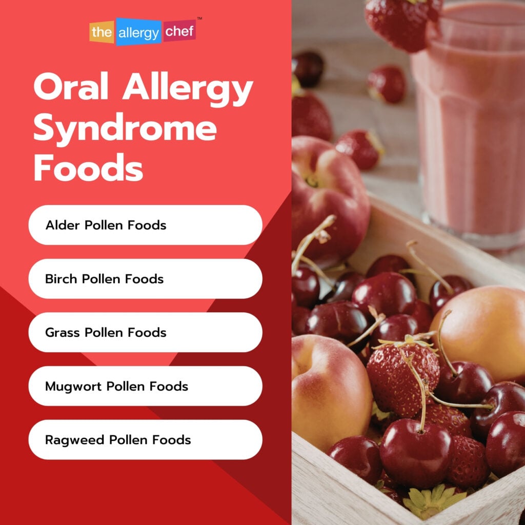 Oral Allergy Syndrome Chart Foods to Avoid Alder Birch Grass Mugwort Ragweed by The Allergy Chef