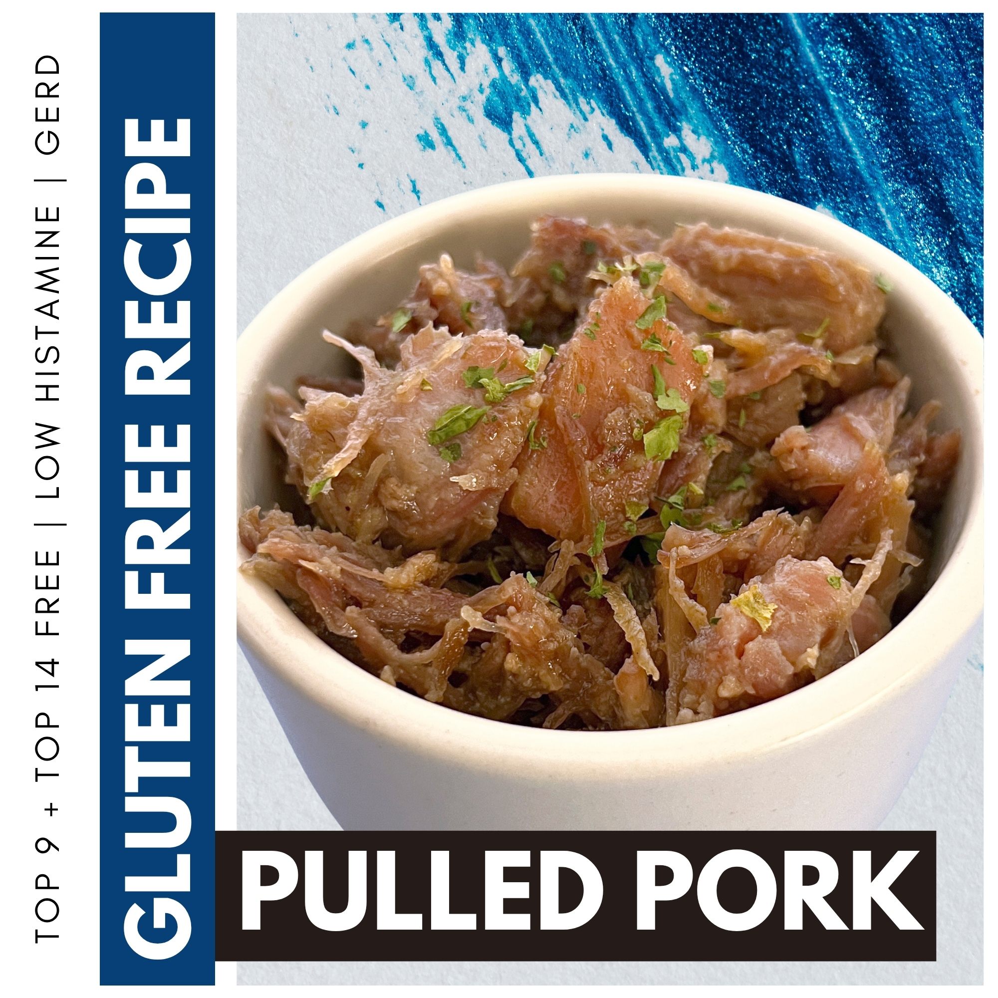 Gluten Free Pulled Pork Recipe by The Allergy Chef (Top 9 Free Top 14 Free)