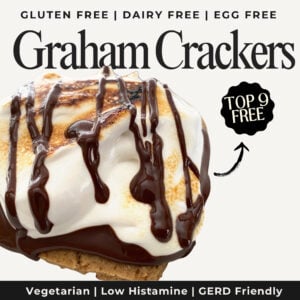 Gluten Free Dairy Free Graham Crackers by The Allergy Chef (Top 9 Free)