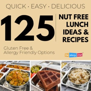 125 Nut Free Lunch Ideas and Snacks by The Allergy Chef (Gluten Free and Allergy Friendly)