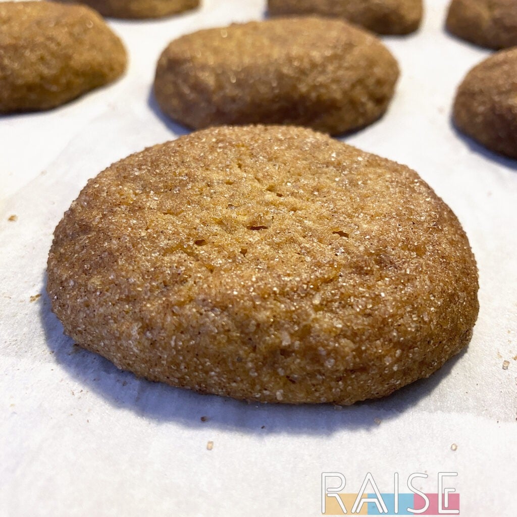 Closeup of Vegan Pumpkin Snickerdoodle Cookie Without Eggs by The Allergy Chef
