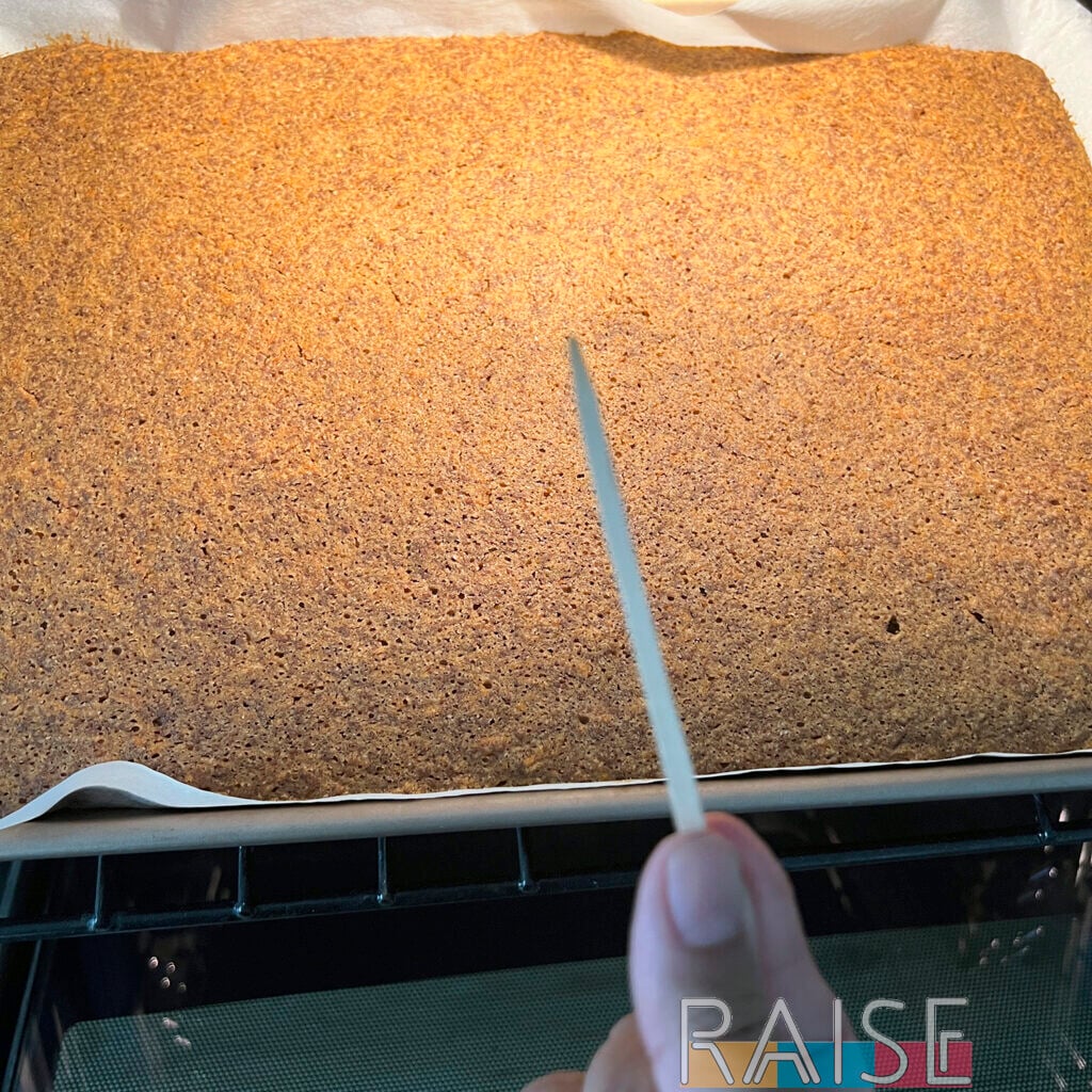 Gluten Free Carrot Cake Toothpick Test by The Allergy Chef