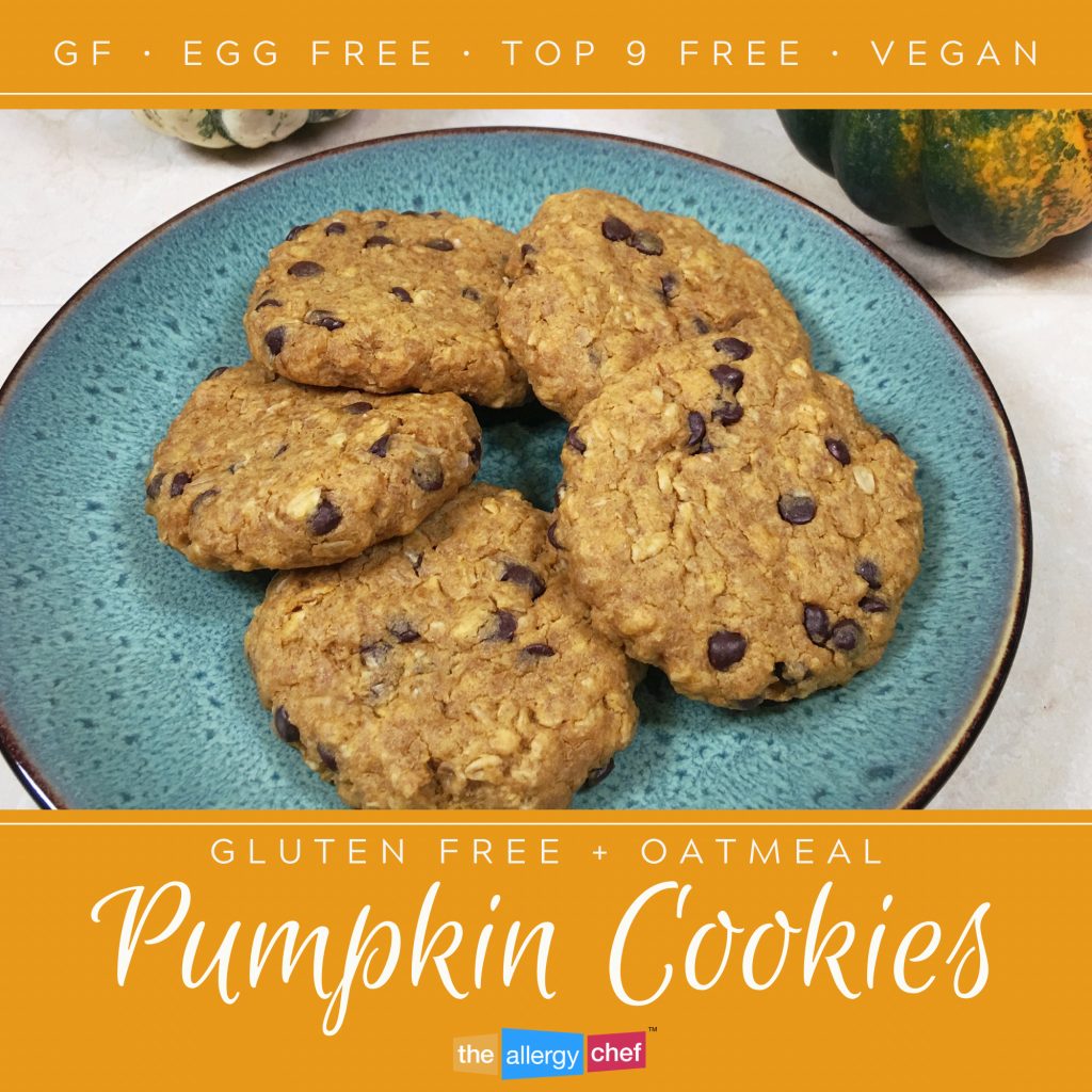 Gluten Free Pumpkin Cookie Recipe with Chocolate Chips by The Allergy Chef (Vegan, Top 9 Free)
