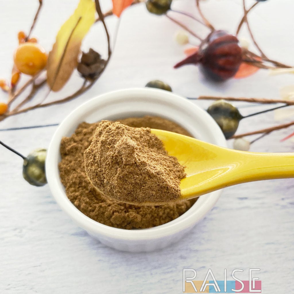 Gluten Free Pumpkin Pie Spice Recipe by The Allergy Chef (Vegan, Top 9 Free)