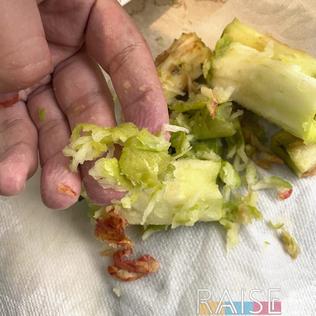 Showing Shredded Apple Skin Clumps by The Allergy Chef